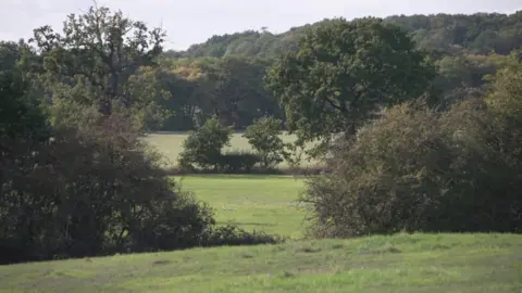 A field with lots of green grass and green trees in Crews Hill, in the London borough of Enfield, where a government new town has been proposed