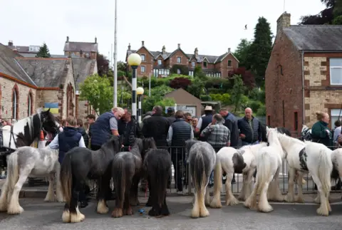 ADAM VAUGHAN/EPA/Shutterstock Rear view of eight small horses tied up in the market square. A group of mainly men stand the other side of the horses, most with their backs to the photographer.