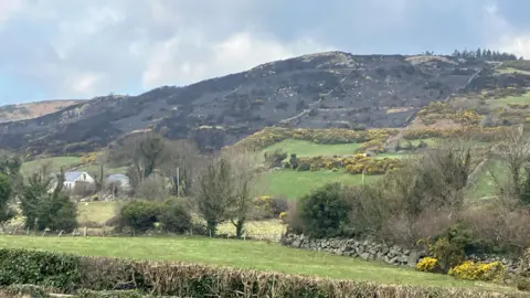 A hill with some trees, a couple of buildings, and a stone wall at the bottom. A section of the hill is charred black.