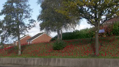 BBC Stourbridge poppies