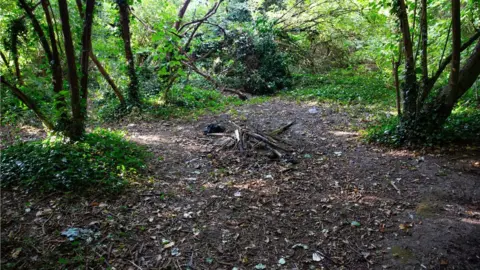 Terry-Harris.com The remains of a camp fire in woods in Wisbech