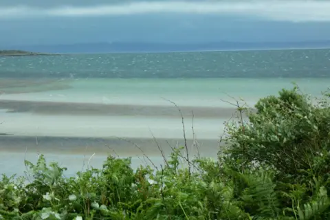 Dave MacDonald A view across shallow coastal water with bands of sand visible beneath the surface. Green plants fill the foreground, while clouds hang over the horizon in the distance. The image shows harmonious tones of blues and greens.