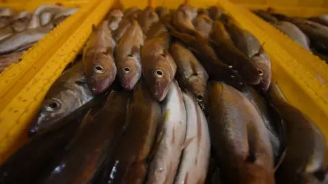 Getty Images A crate of fish