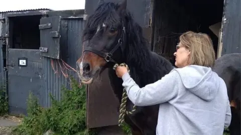 Welsh Pony Rescue & Rehoming Charitable Trust Prince and Angharad