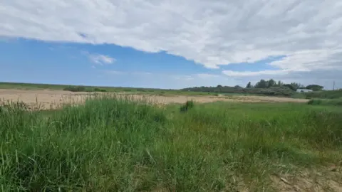 View of Cleethorpes sand dunes. In the foreground, grass and other plants grow among the sand, giving way to a wide patch of bare sand and then more grass. Shrub land can be seen in the background under a cloudy blue sky.