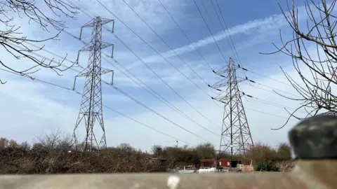 Tom Larsen-Wright/BBC Two pylons on a background of blue sky.