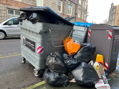 An overflowing rubbish bin with black bags piled up beside it