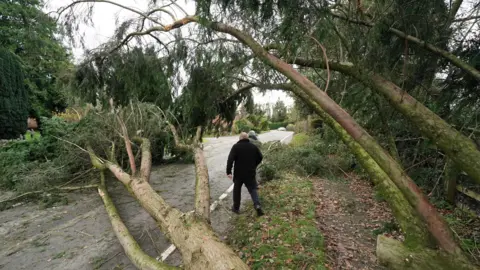 PA Media Two men seen walking between trees that have fallen onto a road in the storm 