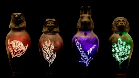 David Williams Four black bottles with sculpted tops depicting animal heads reminiscent of ancient Egypt. The main part of the bottles have glowing images of plants etched into them. Each glowing image is of a different colour: red, black, purple and green.