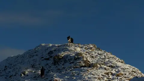 Jemma Fernie A dog stands on the peak of a snow-covered hill under a clear blue sky, with another figure partially visible lower down the slope.