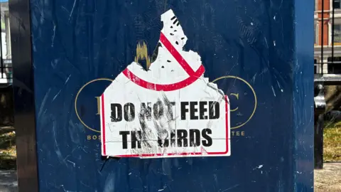 BBC News A sign on a litter bin in Boston Market Place, that says "Do not feed the birds". It is torn and abraded, with much of it missing.