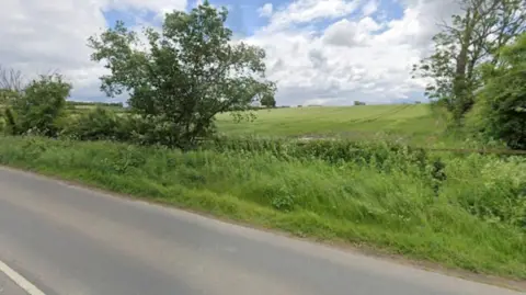 The image shows a rural roadside scene with open agricultural land beyond a hedge-lined boundary. In the foreground, there is a two-lane road running across the bottom of the image, with a white edge line visible on the left. A strip of long grass and dense roadside vegetation separates the road from the field.