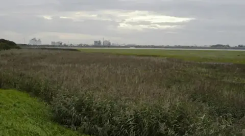 An overgrown field in Thornton-Cleveleys with a grey overcast sky