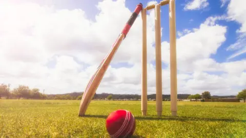 Cricket stumps on a pitch with a red ball in the foreground on a sunny day.