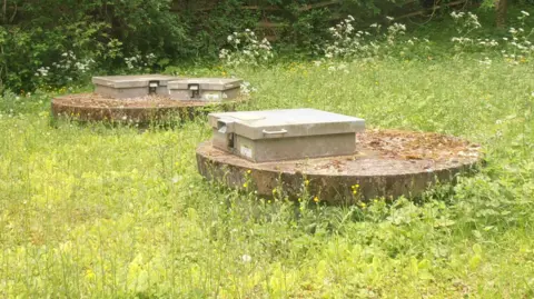 Environment Agency Two concrete boreholes on a patch of grass which is overgrown with weeds,