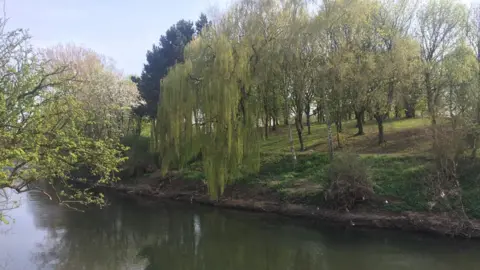 The River Derwent in Derby city centre. The river can be seen across the front of the photograph with trees and grass behind it on the river bank