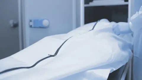 Shutterstock Zipped body bag