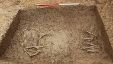 Archaeological Research Services A horse's skeleton in a pit