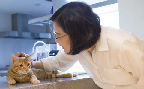 Facebook: Tsai Ing-wen Taiwan's President Tsai with her adopted cat