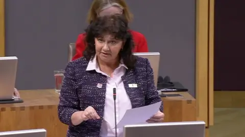 Welsh Assembly Caroline Jones