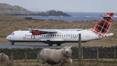 A Loganair plane on an airport runway. Two sheep in a nearby field are in the foreground. The sea and coast are in the background.