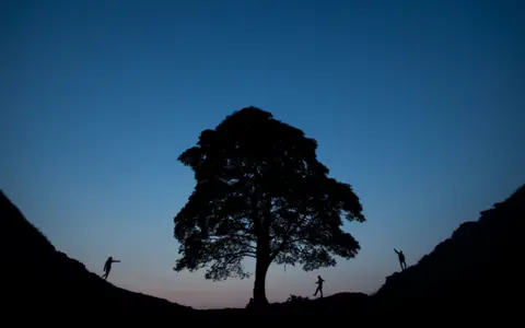 PA Media A night time photo showing the silhouettes of three people walking next to the tree, which is large and bushy and sits in a dip between two hills