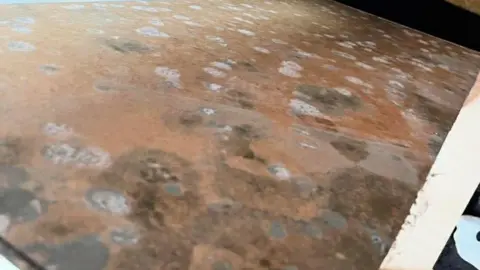 Charlotte Hardie Mould of different colours is shown on the back of a wooden chest of drawers