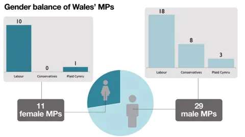 Gender balance in Wales