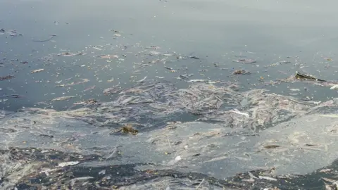 Getty Images River pollution