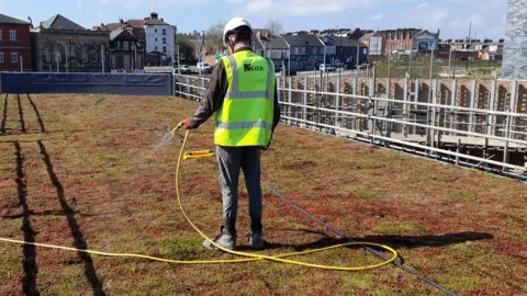 A man in a high-viz vest and hard hat waters the rooftop lawn of the energy centre using a hosepipe.