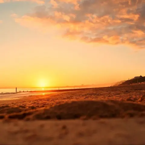 rachels_.wonders SUNDAY - Bournemouth