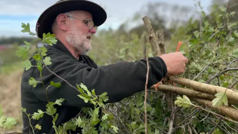 A man with grey beard and glasses wearing a brown hat is tending to bushes. He is wearing a brown jumper and is tying an orange rope around branches.