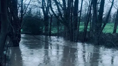 Caro Jane A flooded area with trees and greenery surrounding the water.
