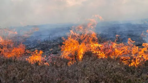 Bright orange flames and smoke can be seen on the burning moorland 