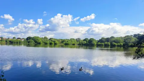 Fi Fi A blue body of water with ducks wading along. There are green trees in the distance and blue skies with fluffy white clouds over head, which are perfectly reflected on the water. 