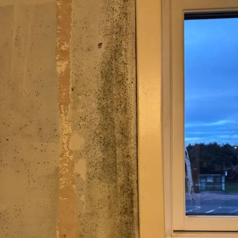 Gary Bennett Mould on walls inside a flat.