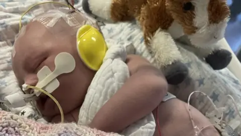 Allison Cooper-Hall Giles Cooper-Hall