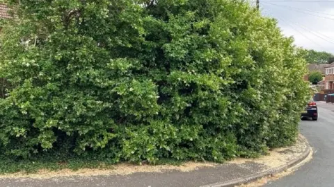 North Yorkshire County Council Overgrown hedge