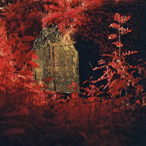 Lynda Laird Infrared photograph of a bunker, surrounded by plants