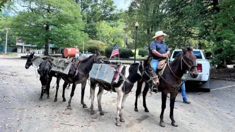 Mountain Mule Packer Ranch  A mule team in NC