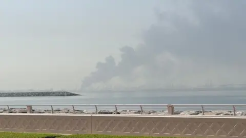 Luke Deal/BBC Smoke billows into the sky from a port in the distance across a bay.