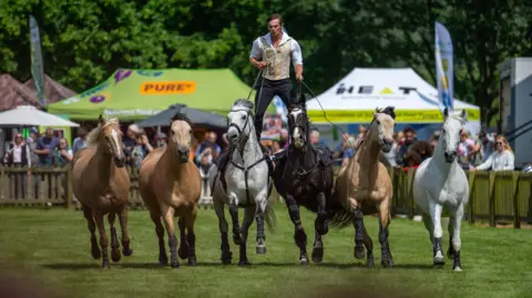 Ed Bagnall six horses are running in a line. three are light brown, one is white, one is gret and another is black. There is a man standing with his feet on the saddles of the grey and black horses as they run. he is in a white shirt and beige waistcoat with black trousers and is holding long reins