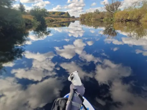 Marianne Pritchard A river with the sky reflected in it. A dog with a harness sits on a paddle-board in the foreground looking over the water