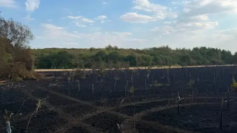 Land damaged by a fire