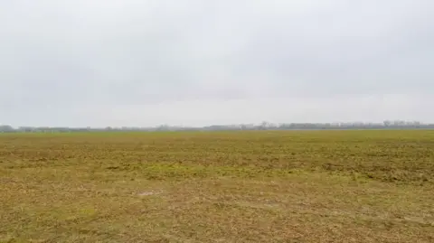 Universal Destinations and Experiences An empty green field at Kempston Hardwick. The sky is grey. Trees can be seen on the horizon.