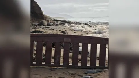 The backrest of a bench featuring a small inscription on a plaque sits wedged in the sand on a beach. Small stones and seaweed can be seen scattered around, with sea spray lining the beachline and cliffs looming in the distance. 