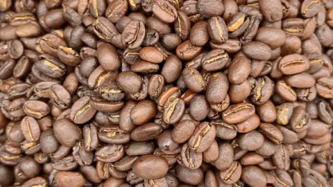 Granos de café