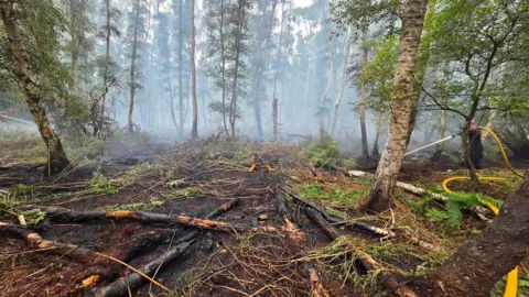 Aftermath of a peat fire in a nature reserve.