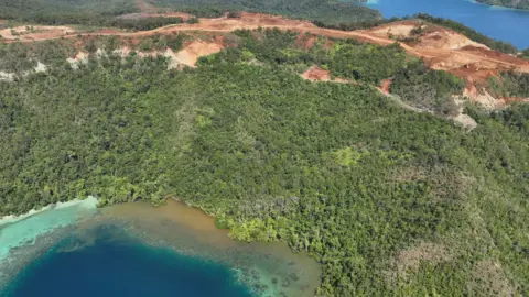 Global Witness A photograph of mining on Kawei island in Raja Ampat, appears to show sediment  running into the coastal water. The aerial image shows a green, verdant island from above. Mining operations just uphill of the water's edge are in contrast to the lush forest - land has been cleared and brown earth is exposed. Downhill of the mine, brown-coloured sediment appears to be running into the clear, blue water. 