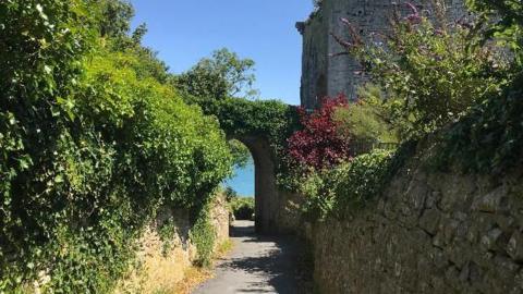 A winding alleyway in the foreground with a stone wall on the right and stone wall covered in greenery on the left which ends in a stone archway through which you can glimpse the sea